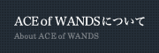 ACE of WANDSɂ